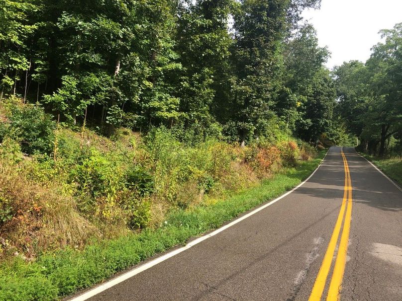 A233c9bb-9796-40ce-a87c-10252405d696 1 105 c