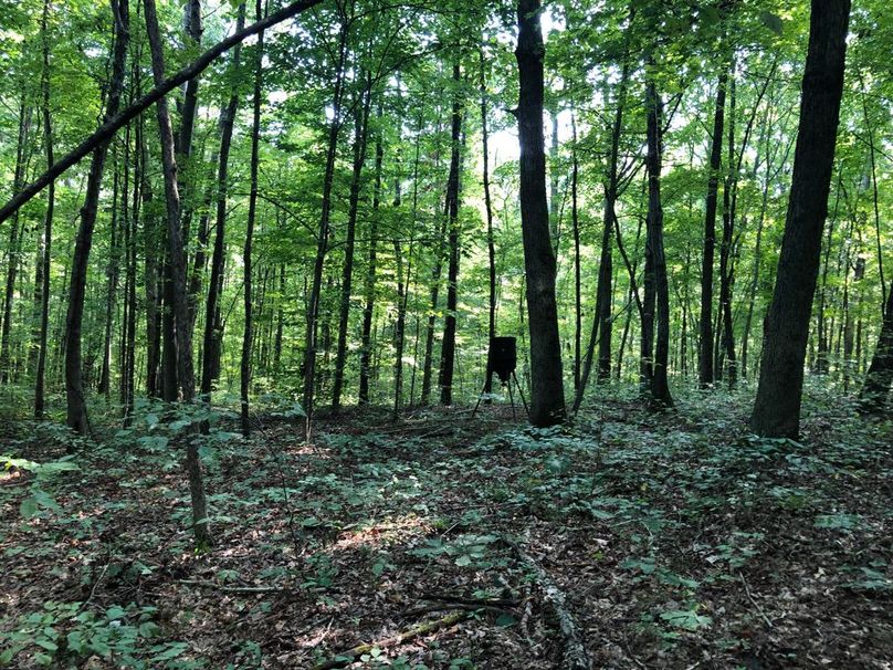 A29ef91c-2daf-4681-a7a3-dc370816e402 1 105 c