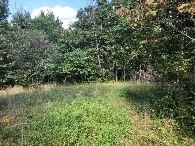 A2b9c04e-6854-4673-86a9-f8f7045e7f2c 1 105 c