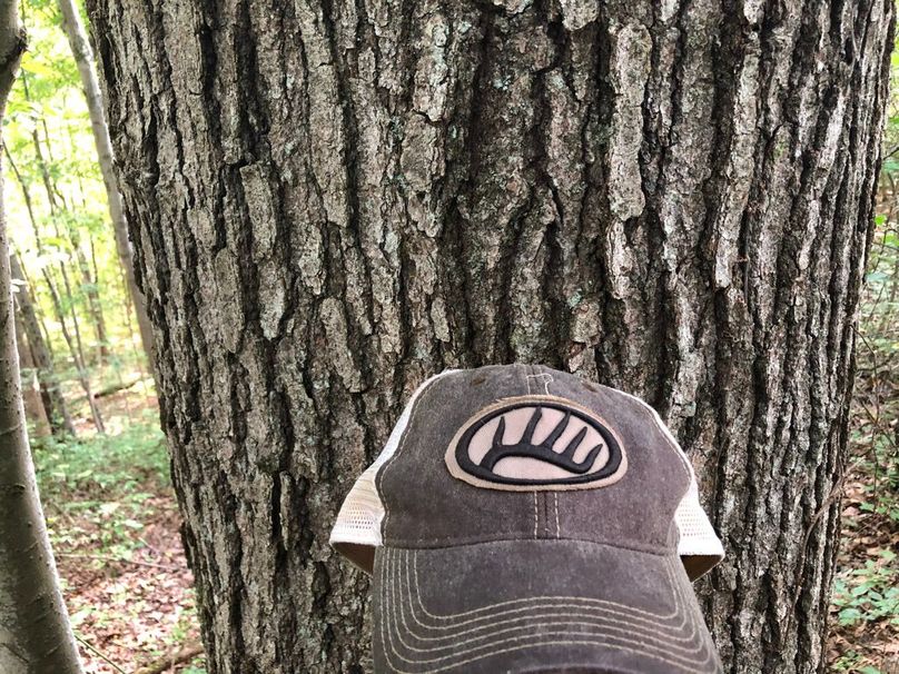 Aa092c66-f60b-42fd-b5f6-4320b2b9d7d7 1 105 c