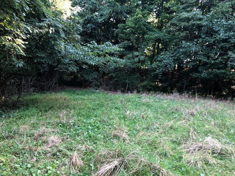 Abba62a5-5fd3-4d54-9845-818b19c88a27 1 105 c