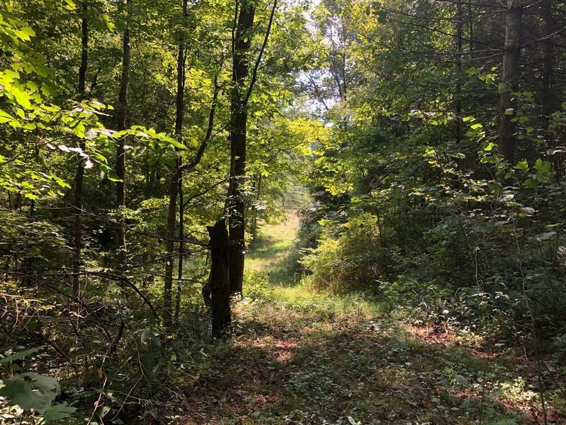 Ac982af8-d403-4ec0-9dae-b6c0290984e1 1 105 c