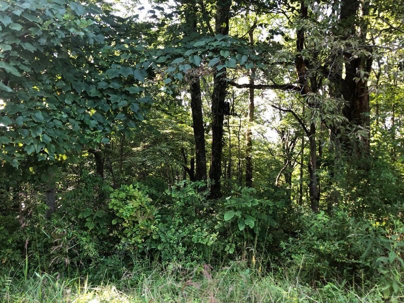 Acfaee35-0611-426a-970e-fc6e3031df87 1 105 c