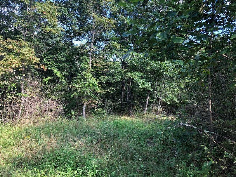 Ae119a95-36d7-4a55-80de-832100c6b0df 1 105 c