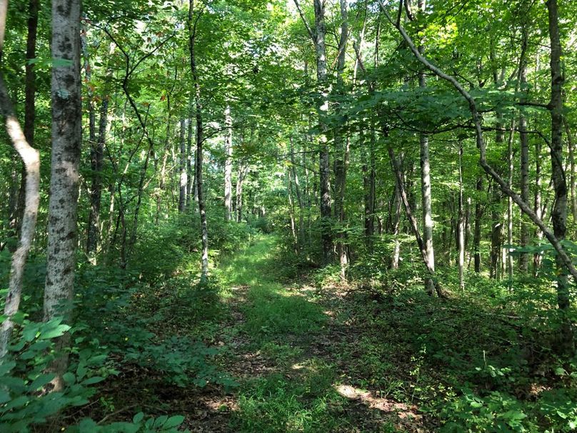 Af165f30-e96f-4494-91ce-9cd6a719c90a 1 105 c