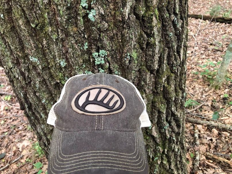 Aff2e67c-1dac-4a9d-835e-e1b7aec01b31 1 105 c