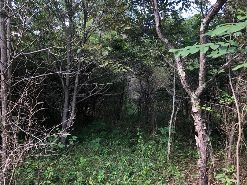 B707b262-cd58-4d77-b852-c48b88f96e0f 1 105 c