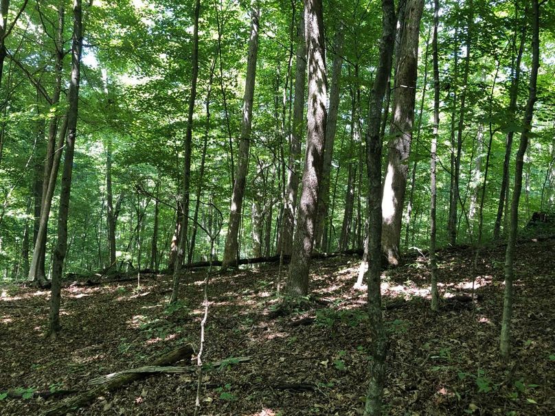 B86bb258-2bbd-47d6-88cc-039df3740f5e 1 105 c