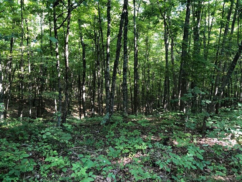 B977153c-477c-4224-a0b1-e873d29bb6f8 1 105 c