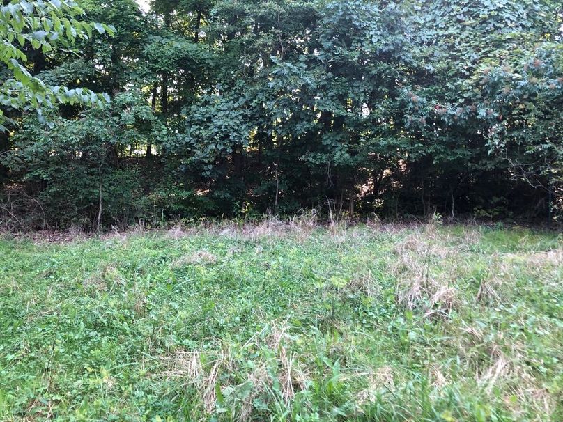 B9d0bb2a-2028-4930-8ab1-6eccd6ce45fc 1 105 c