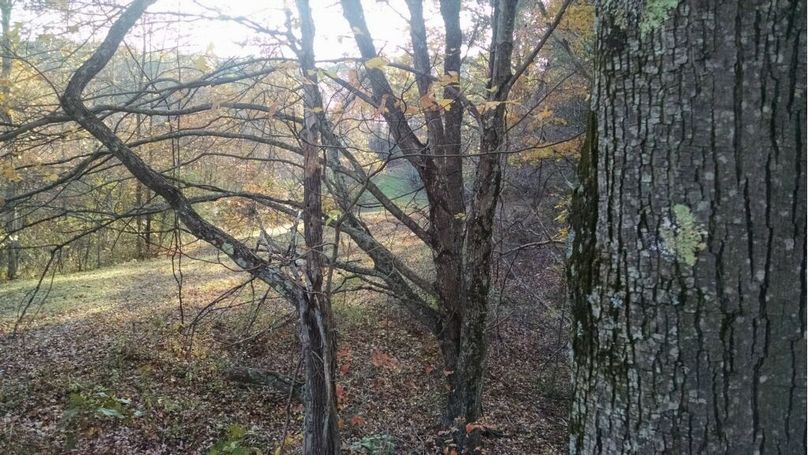 B0814060-8413-45bb-a859-e8a314121867