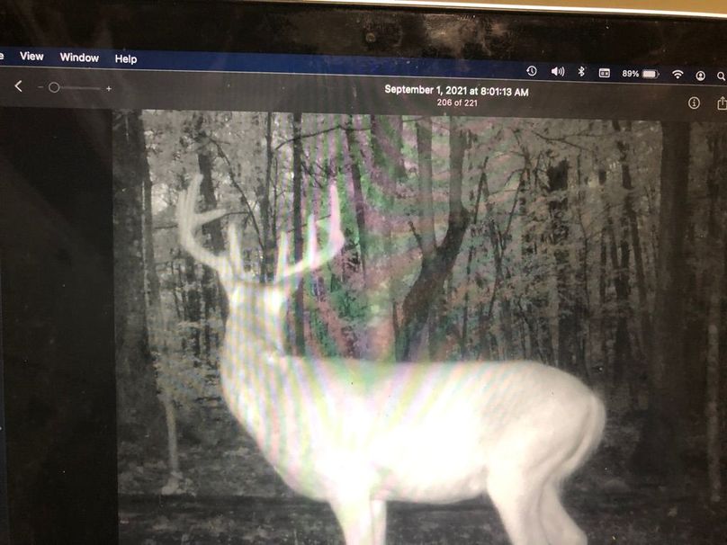 B25a2b28-f75a-43dc-a2b3-e7a7f6023b70 1 105 c