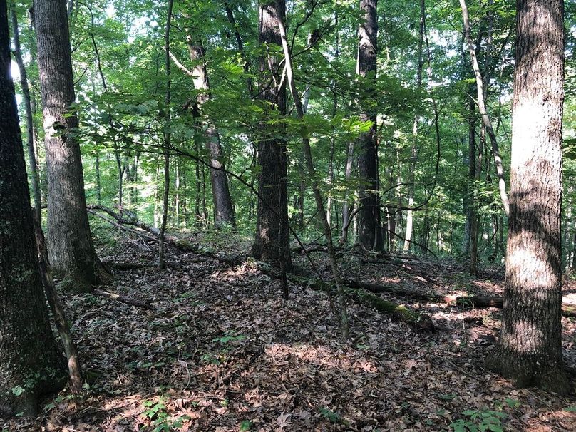 Ba0fcbef-01b5-4713-9348-d8e2a0000521 1 105 c