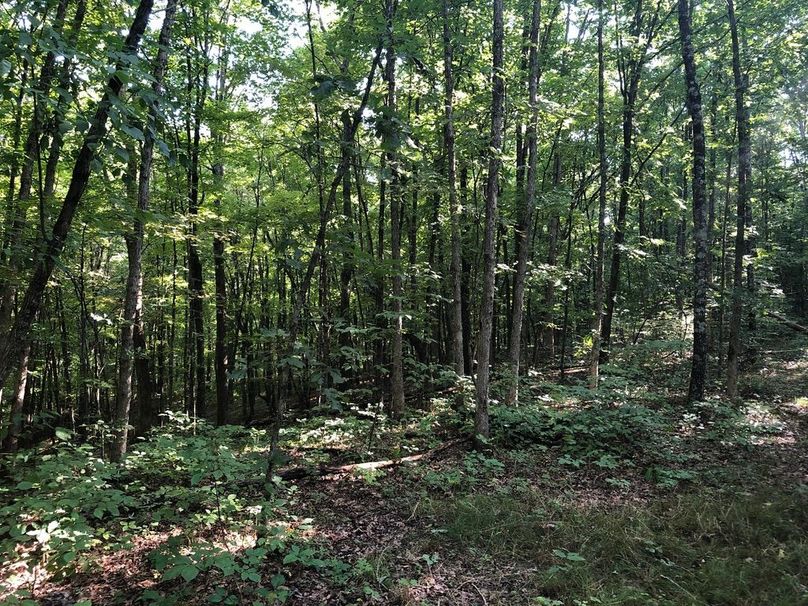 Ba2572c8-2435-4889-928d-f6391d8f5cdf 1 105 c