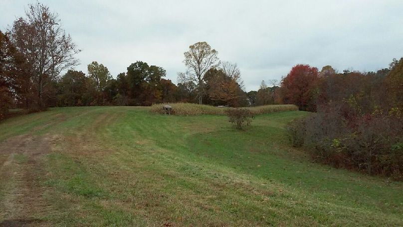 Bbe36d2d-9e1d-477a-aada-e925ddb69a2a 1 105 c