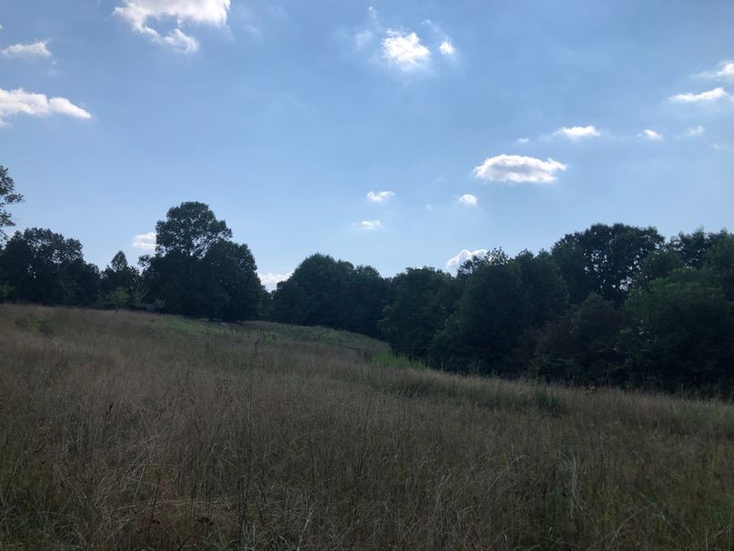 Bc6d746a-2109-4db5-84d4-c94b8fba6eca 1 105 c