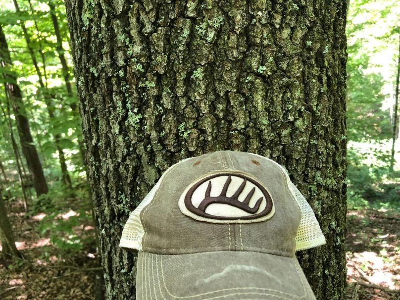 Bdbda4ad-b079-4ba3-875a-fa030d6d1e5c 1 105 c