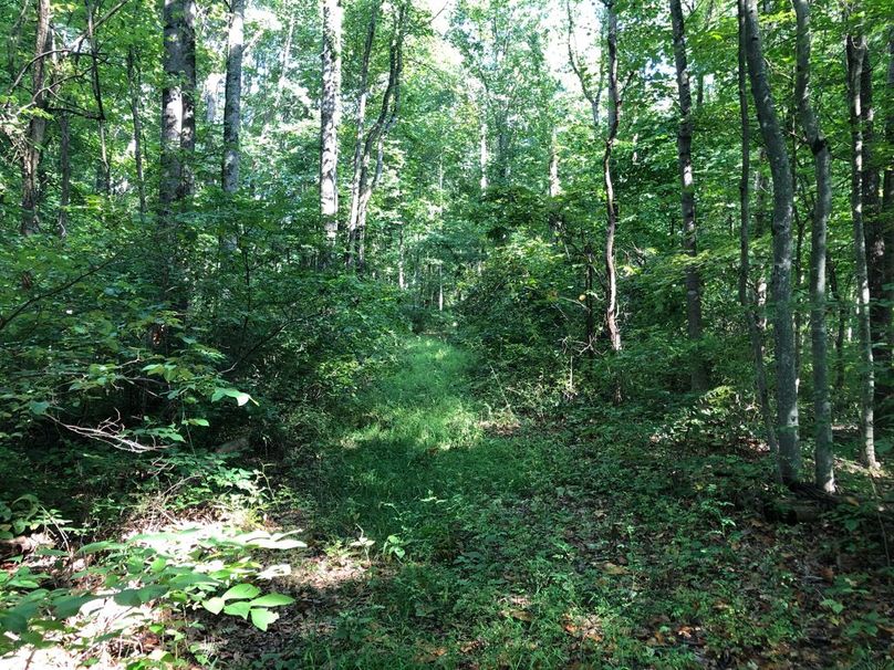 Befdbfb9-54cc-4435-ad8b-e7f7a205952f 1 105 c