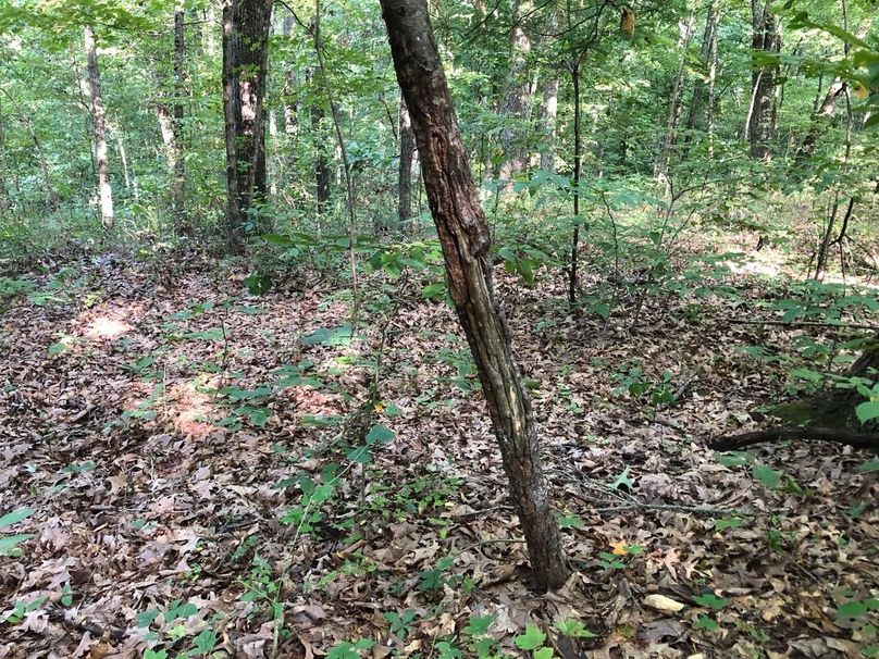 Bfc824f9-97c4-4920-aff4-515a056e19d9 1 105 c