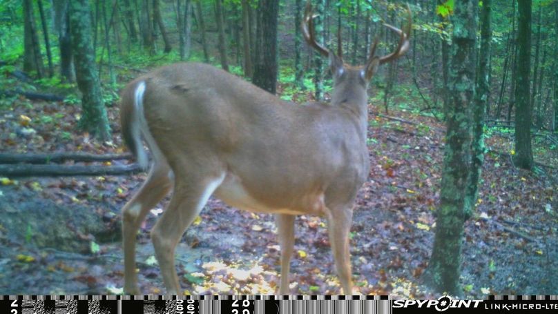 C495aa2e-c104-4ea9-8c3b-2eb03462accc 1 105 c