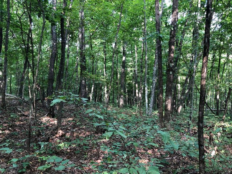 C65a9c54-08be-4703-83c0-0f90b5cf0d73 1 105 c