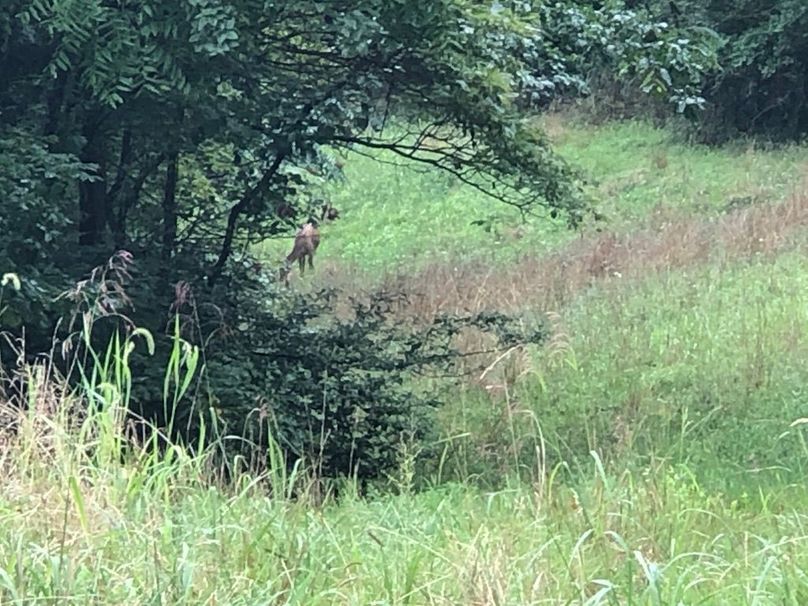 C3def79e-cb75-4fa7-beba-99d3f98f62af 1 105 c