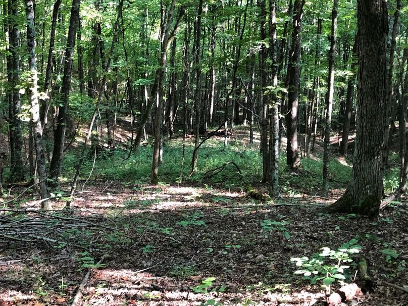 Cb4e4545-0c6e-4bc9-a563-ba086790fdd7 1 105 c