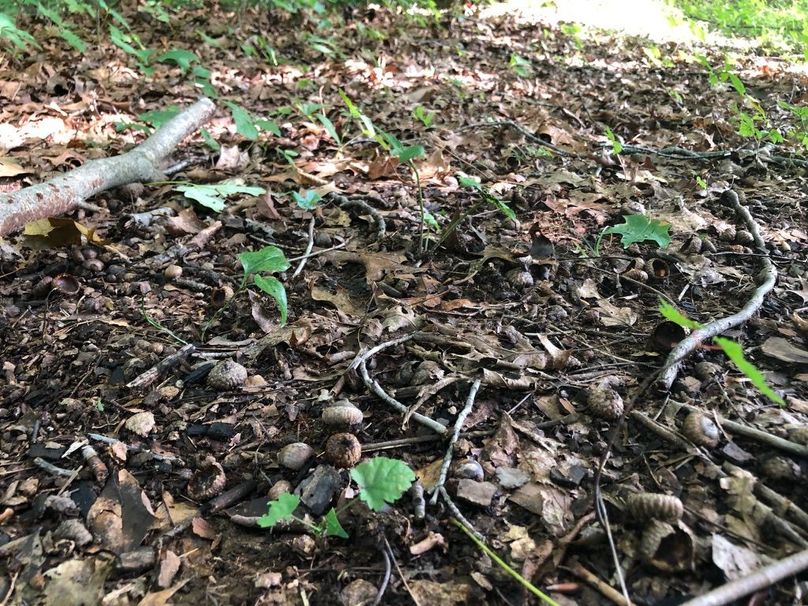 Cc079584-b57b-41b8-bbb9-b1c80eeaef8a 1 105 c