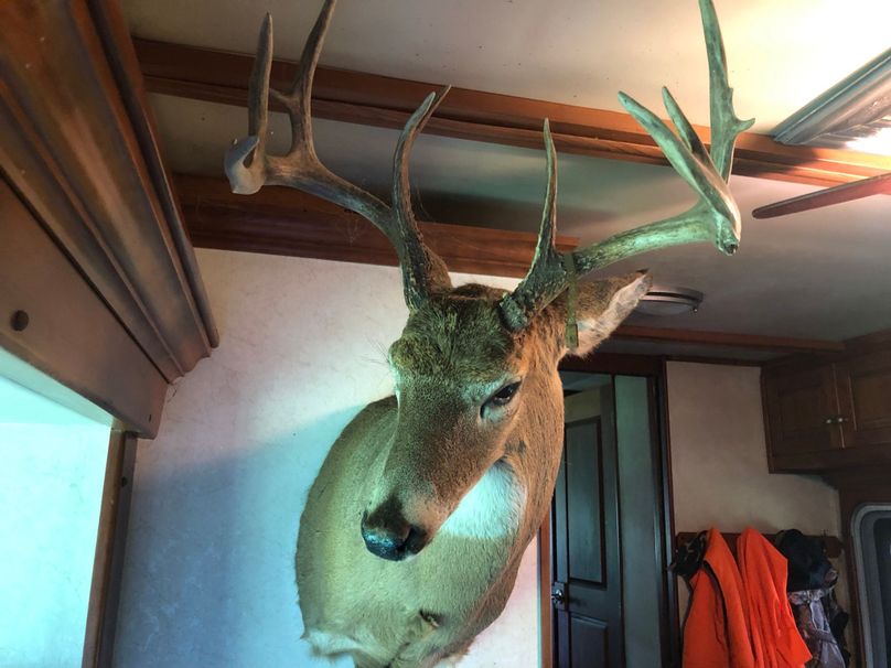 Ccddded0-5dd9-4f16-8182-25d1f5506fb4 1 102 o