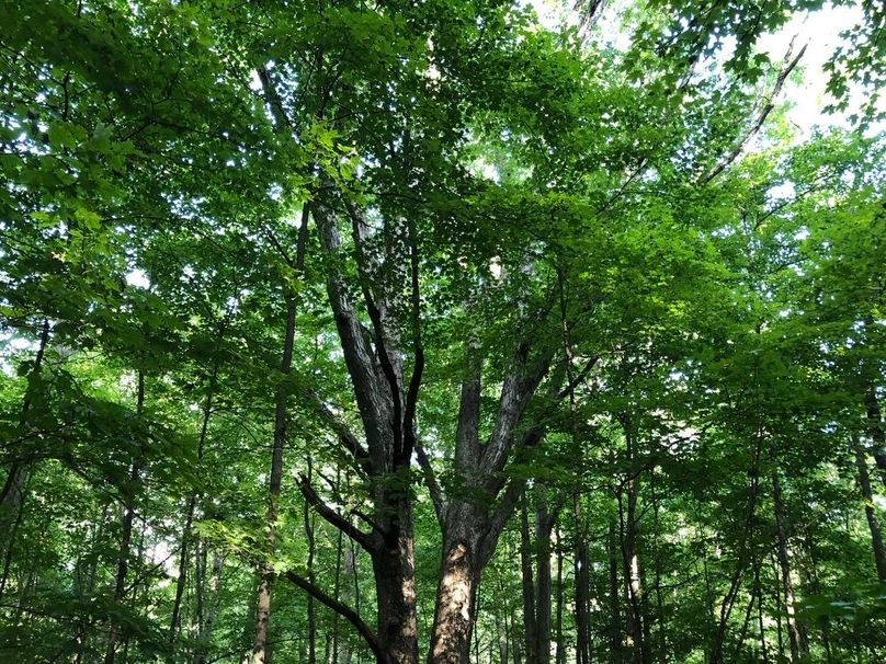 D4826e37-fcab-45c1-bbd9-4c2272e886a9 1 105 c