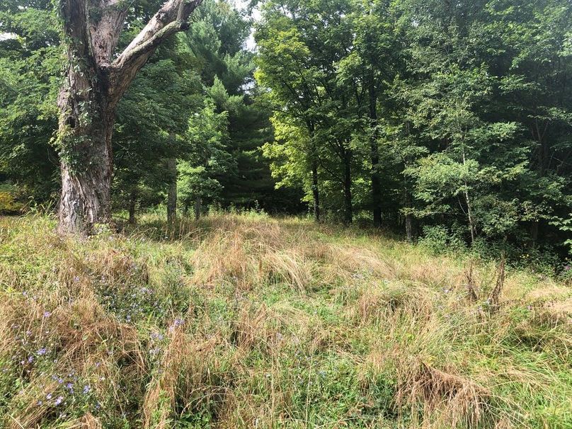 D7f2f2ac-f8bd-4093-a3d2-77aba9dc6e3e 1 105 c