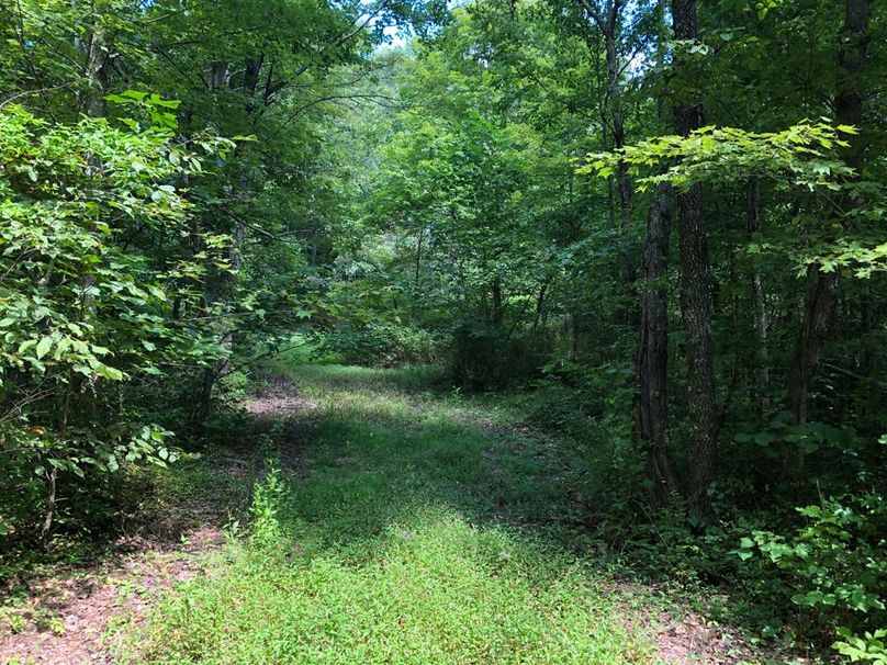 D7f3348e-f0f2-44e2-b9b2-db5e80ae671f 1 105 c