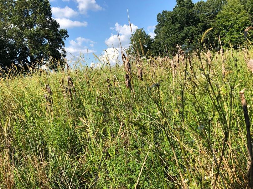 D8805b95-0082-400c-8ea6-5a5e199e379a 1 105 c