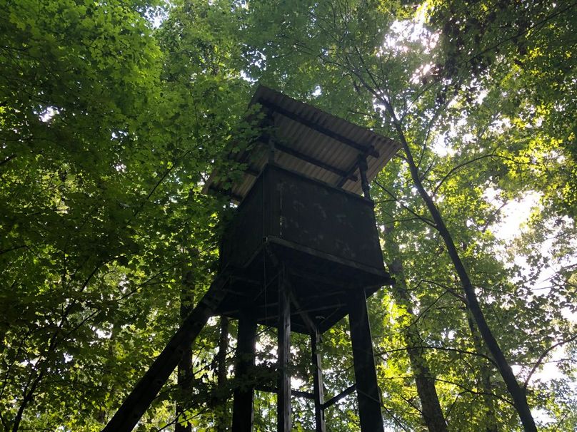 D9034b42-443c-460a-b286-4dee82d4a2f1 1 105 c