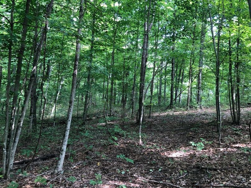 D014b184-a54a-4761-b4f3-23d8052b6f55 1 105 c