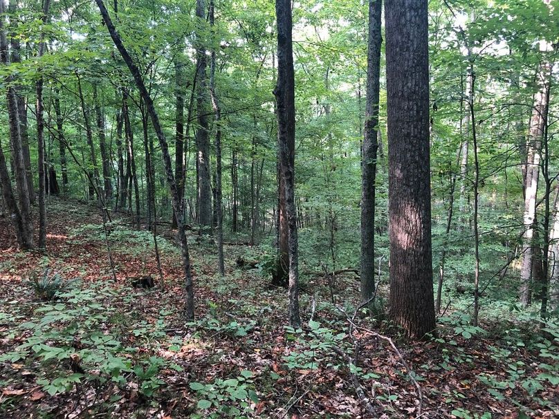 Dc9185ba-f5f3-4bec-b36f-e6b2e2eef6fb 1 105 c