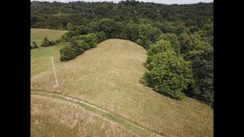 Dfa28c34-83c5-4f55-97d2-705dbb81f924