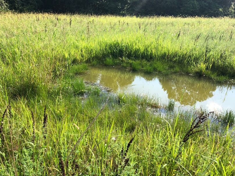 E62b92bb-8329-4e25-8d2c-05146368bdc2 1 105 c