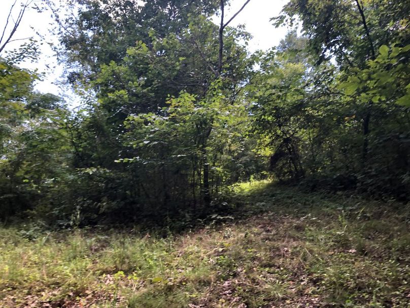 E9af9bf3-ff08-44fd-bb90-373937131ca1 1 105 c