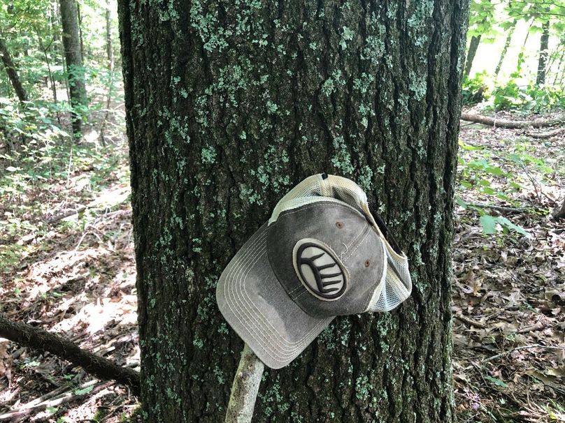 Eb5a8794-bd4f-41dd-9dfc-4cfcbbb36900 1 105 c