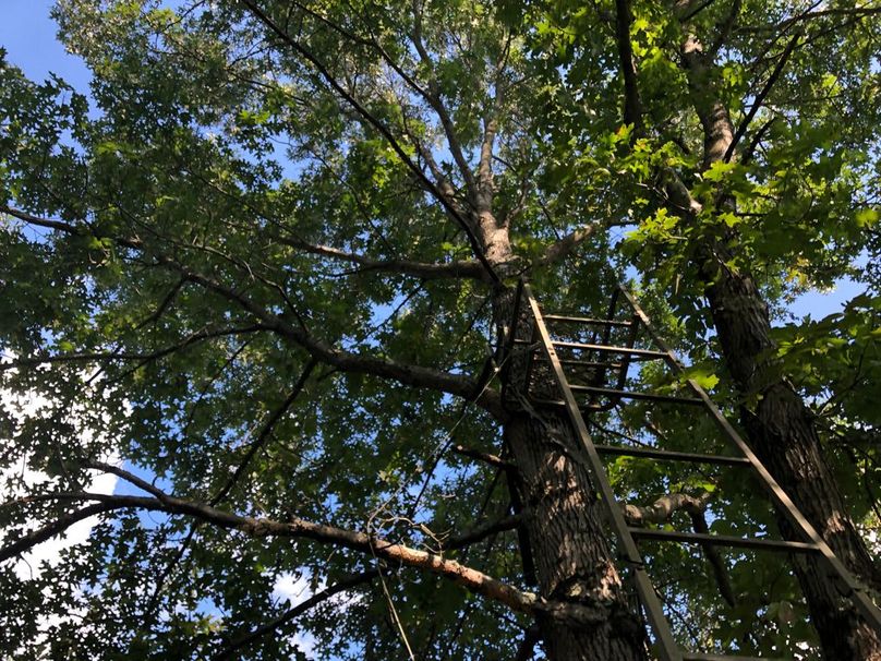 Ee91789a-a86a-4501-bf48-8ed3793aaba1 1 105 c