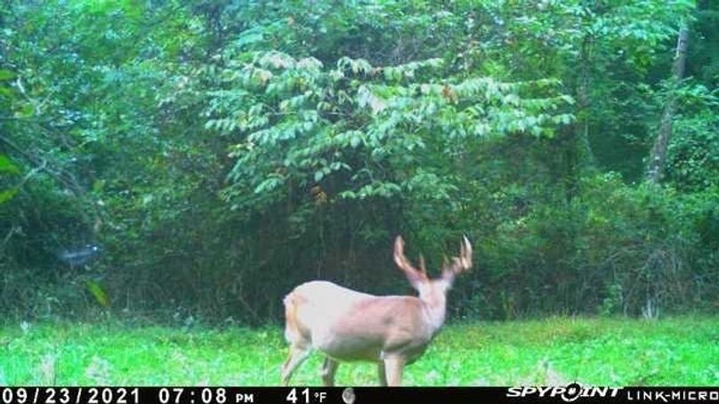 F5e0acbc-2cb5-4999-94f4-bcd26bec452a 4 5005 c