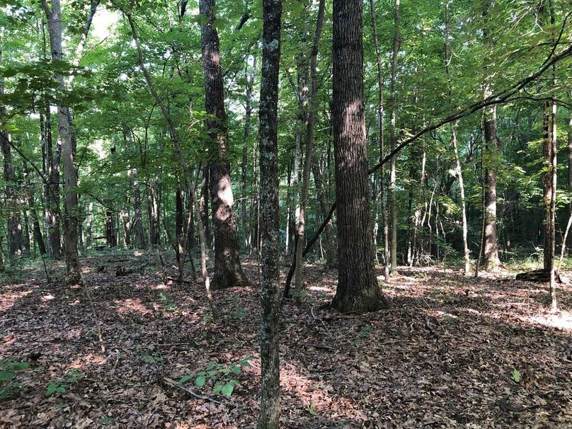 F7113086-82db-49b6-8f6c-3d725a7aa3e4 1 105 c