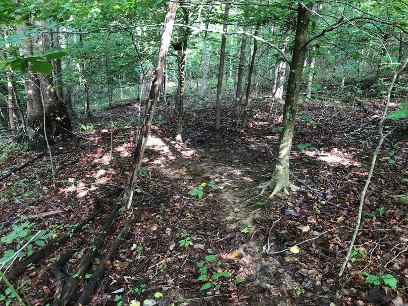 F2dd5c47-0812-426e-a049-d8ff21b99079 1 105 c