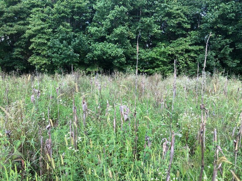 Fc01d9b1-14b7-4cc5-b7dc-21166f8bb211 1 105 c