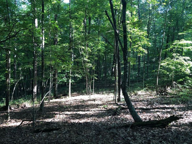 Ff6b33c2-19c2-42ad-8f20-1515466a5b61 1 105 c