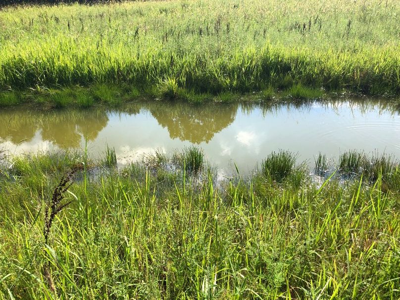 Ffed1def-7219-4ba7-8a66-8d73bc13489f 1 105 c