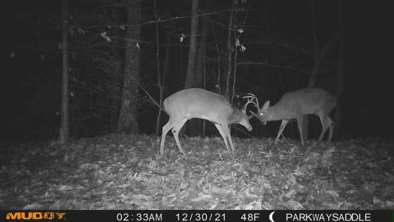 1640867557851_602553250441028