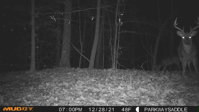 1640739190213_474186182906454