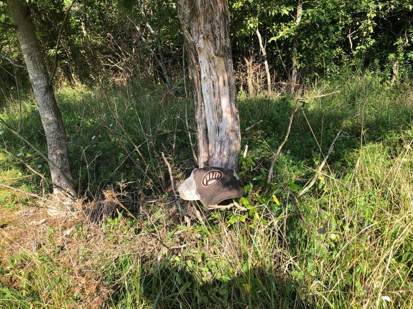 051e93f5-8b70-4ba0-b7b4-dc426720af6e 1 105 c